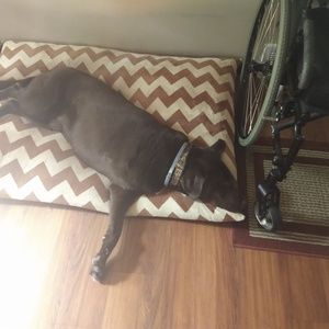 Meet your Posher, Cathy